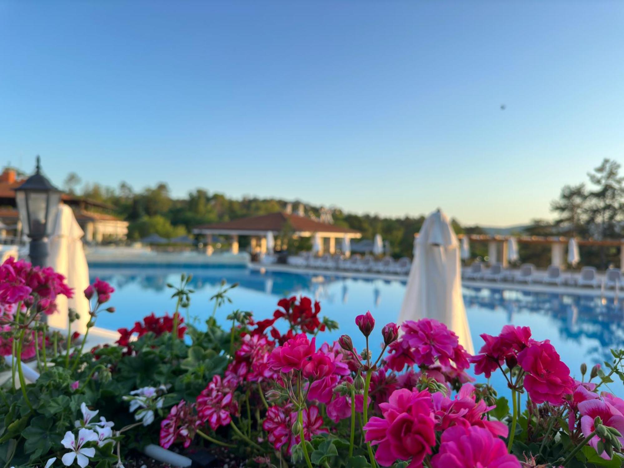 Sm Lovely Apartments On The First Line In Sozopol Ngoại thất bức ảnh